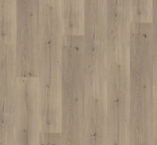 Parador Vinyl Eiche Infinite grau lebhafte Struktur