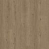 Parador Vinyl Eiche Atmosphere umbra