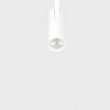 3 Phasen Led Schienenstrahler, OR 1020-60, Weiß, 3000K, 10W